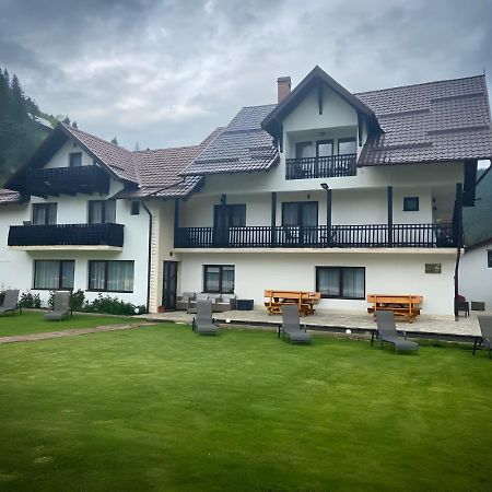 Апартаменти Vila Larisa Моєчу-де-Сус Екстер'єр фото
