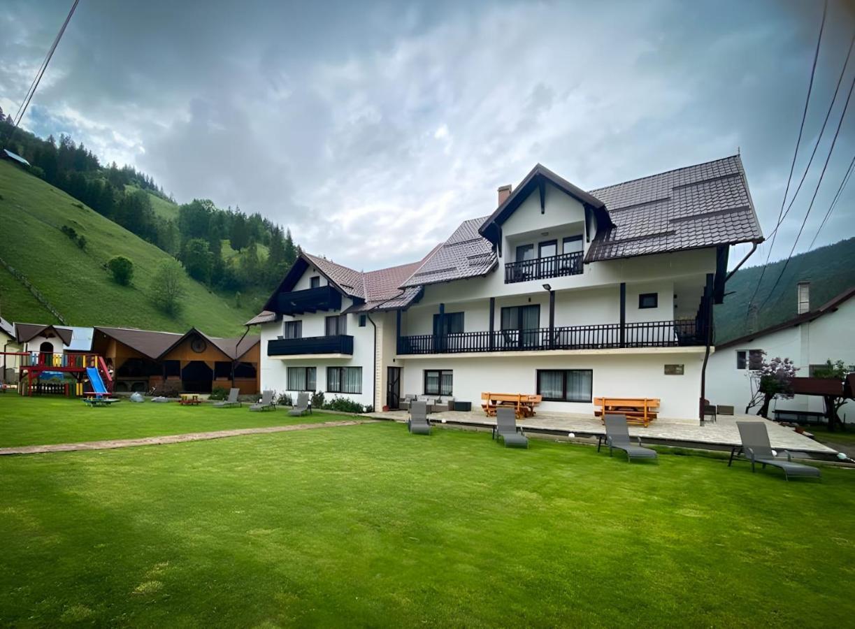 Апартаменти Vila Larisa Моєчу-де-Сус Екстер'єр фото
